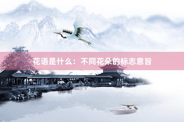 花语是什么：不同花朵的标志意旨